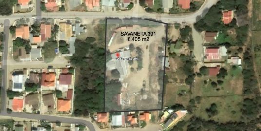 Savaneta 391 home + massive property land [FOR SALE]